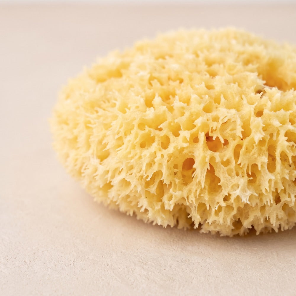 Natural Sea Sponge, styled at home
