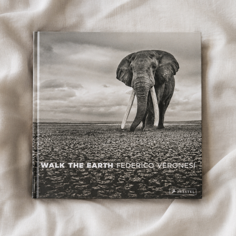 Walk the Earth