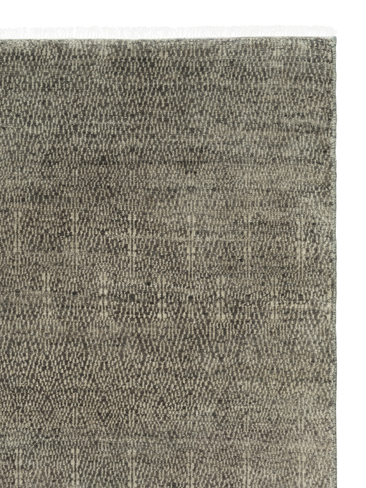 Paragon rug in Shadow
