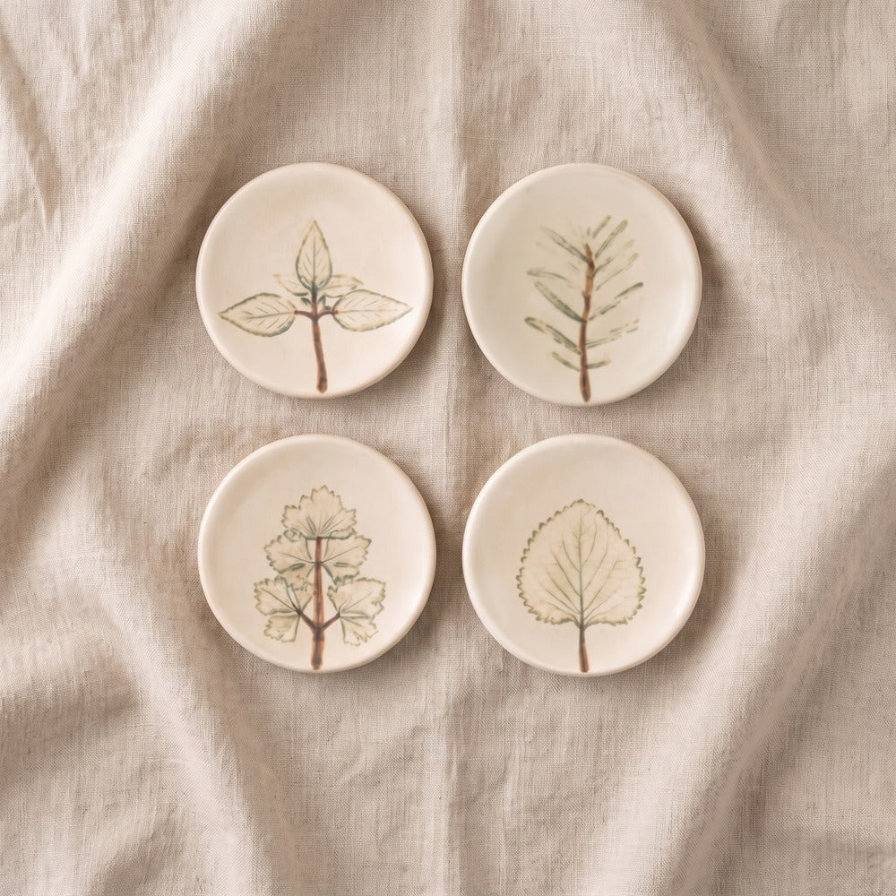 Botanical Sketch Saucer