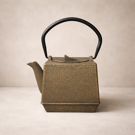 Bronze Cast Iron Teapot