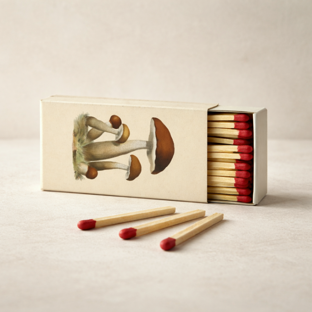 Matches in Box