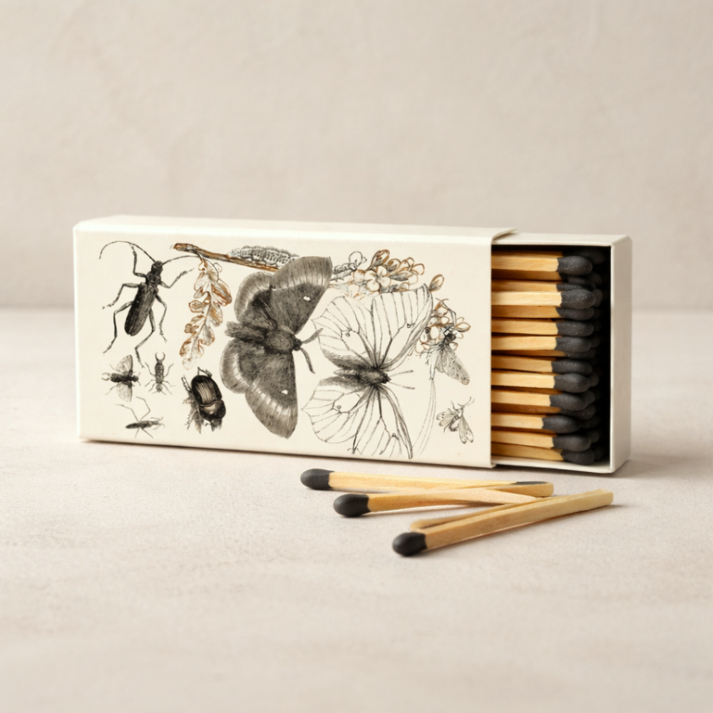 Matches in Box