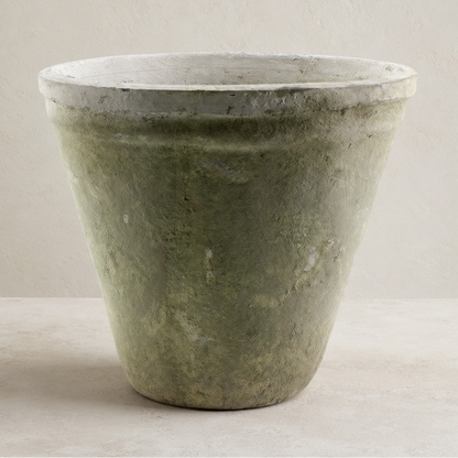 Moss Terracotta Pot