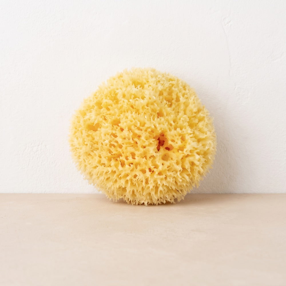 Natural Sea Sponge
