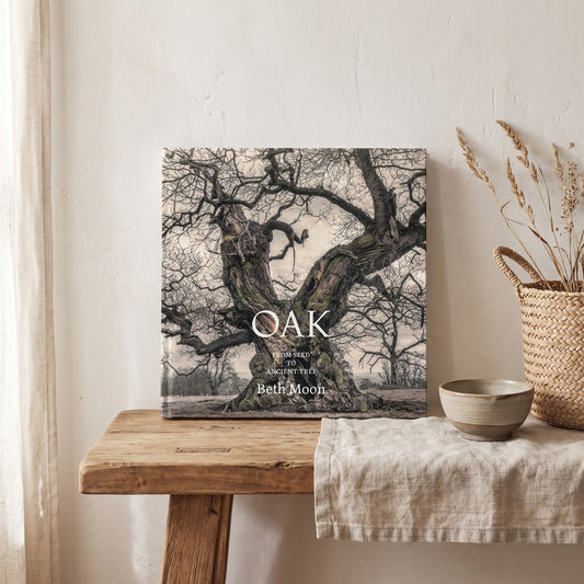 Oak: From Seed to Ancient Tree, styled at home