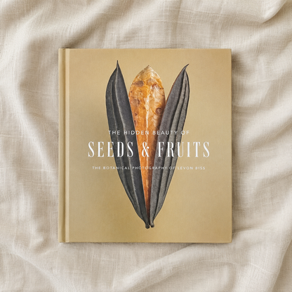 The Hidden Beauty of Seeds & Fruits