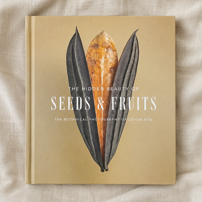 The Hidden Beauty of Seeds & Fruits