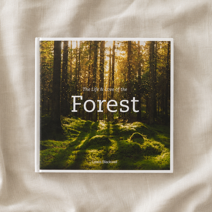 The Life & Love of the Forest
