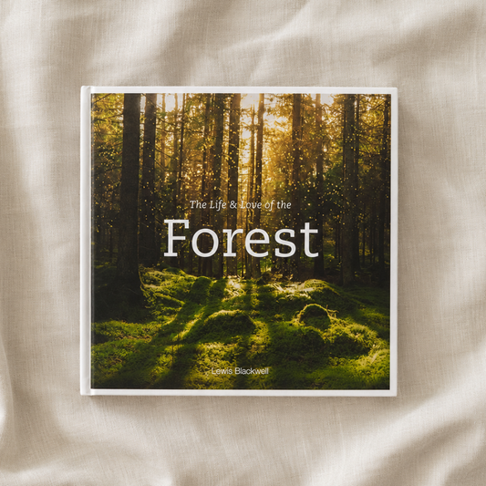 The Life & Love of the Forest