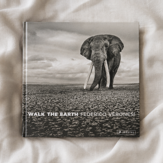Walk the Earth